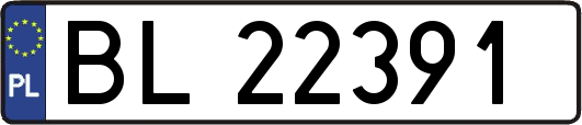 BL22391