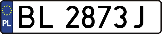 BL2873J