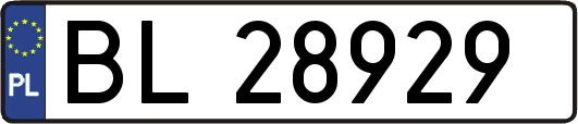 BL28929