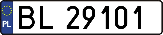 BL29101