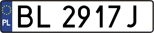 BL2917J
