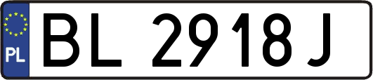 BL2918J