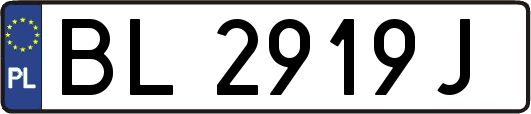 BL2919J
