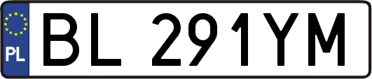 BL291YM