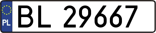 BL29667