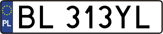 BL313YL