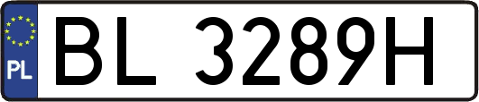 BL3289H