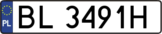 BL3491H