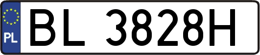 BL3828H