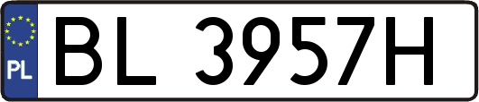 BL3957H