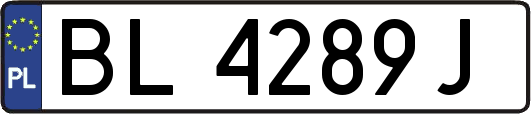 BL4289J
