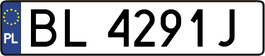 BL4291J
