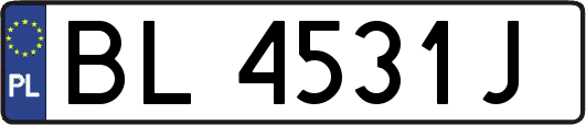 BL4531J