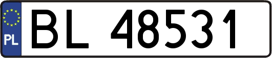 BL48531