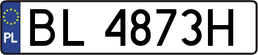 BL4873H