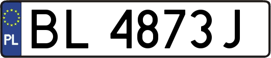 BL4873J