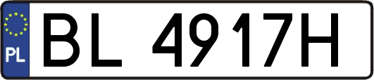 BL4917H