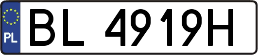 BL4919H