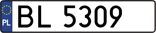 BL5309