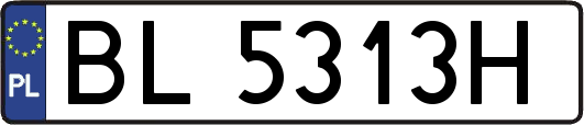 BL5313H