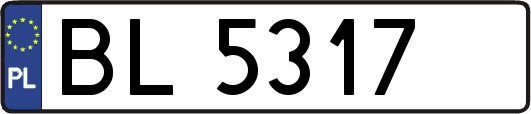 BL5317