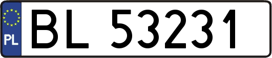 BL53231