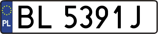 BL5391J
