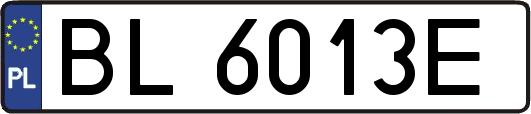 BL6013E