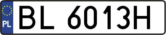 BL6013H
