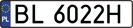 BL6022H