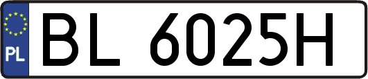 BL6025H