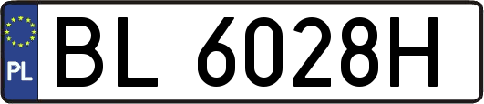 BL6028H