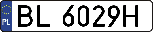 BL6029H