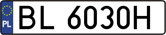 BL6030H