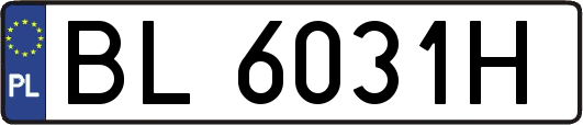BL6031H