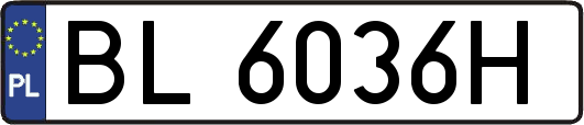 BL6036H