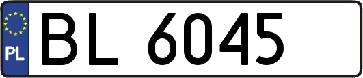 BL6045