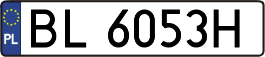BL6053H