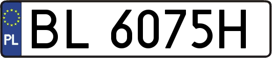 BL6075H
