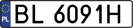 BL6091H