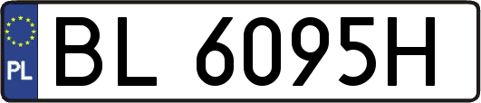 BL6095H