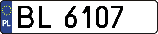 BL6107