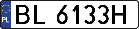 BL6133H
