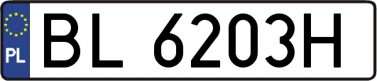 BL6203H