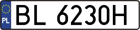 BL6230H