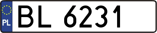 BL6231