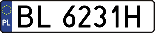 BL6231H