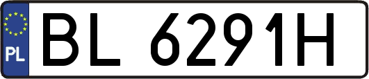 BL6291H