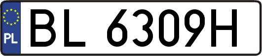BL6309H