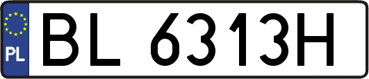 BL6313H